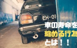 車の寿命 縮める